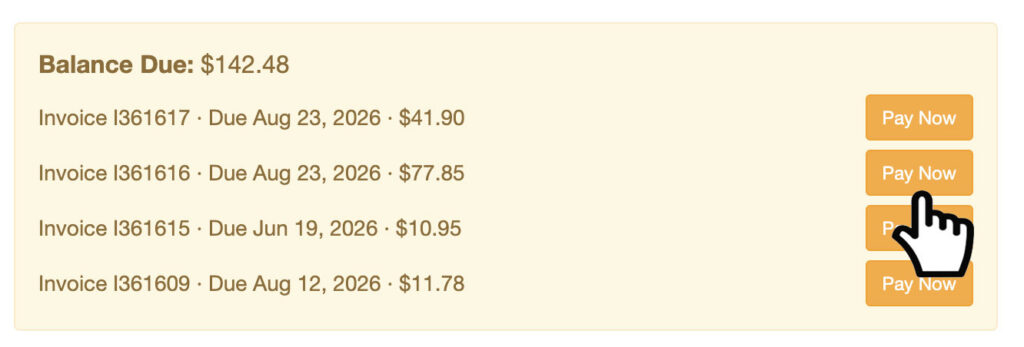 Pay Invoice
